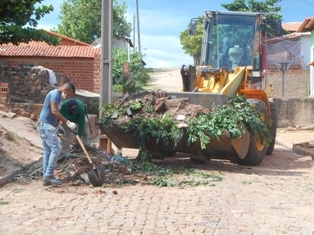 Combate ao Aedes Aegypit - Imagem 39