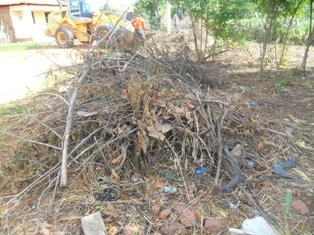 Combate ao Aedes Aegypit - Imagem 10