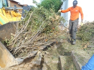 Combate ao Aedes Aegypit - Imagem 6