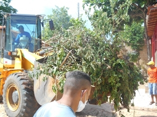 Combate ao Aedes Aegypit - Imagem 35