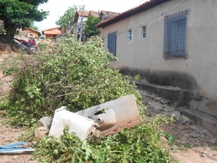 Combate ao Aedes Aegypit - Imagem 36