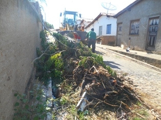 Combate ao Aedes Aegypit - Imagem 30