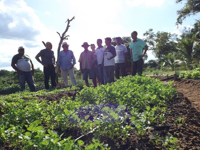 Secretários nacionais visitam projetos de irrigação em Oeiras - Imagem 3