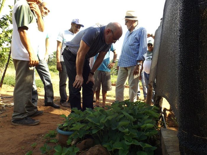Secretários nacionais visitam projetos de irrigação em Oeiras - Imagem 4