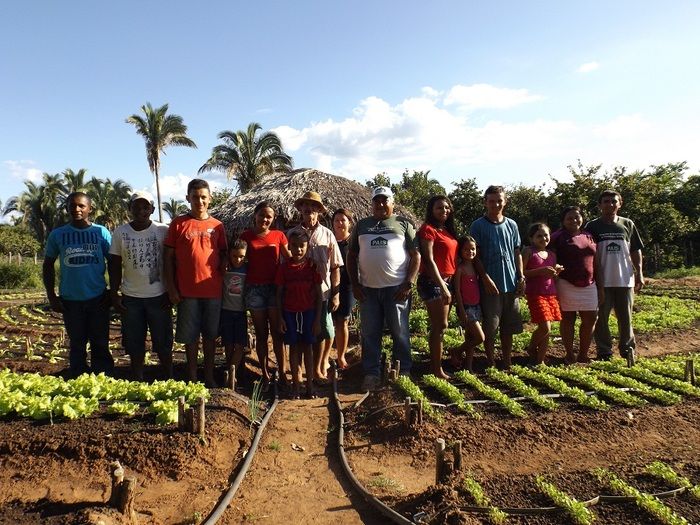 Secretários nacionais visitam projetos de irrigação em Oeiras - Imagem 6