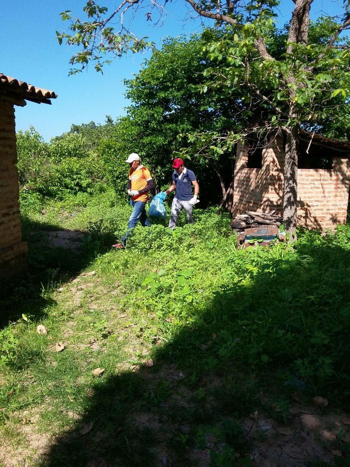 Secretaria de Saúde realiza mutirão de combate ao Aedes Aegypti - Imagem 5