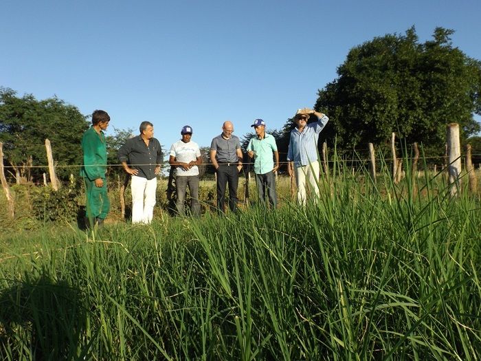 Secretários nacionais visitam projetos de irrigação em Oeiras - Imagem 8