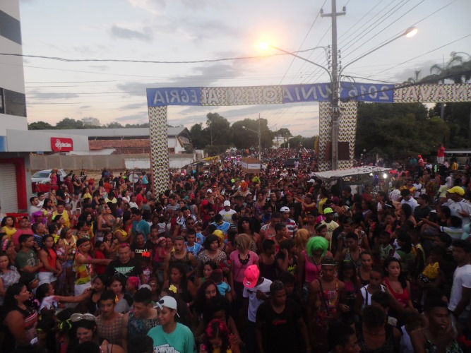 Os Gatões batem novo recorde e fazem desfile mais longo da história - Imagem 19