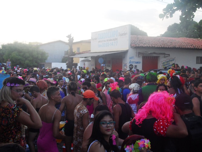 Os Gatões batem novo recorde e fazem desfile mais longo da história - Imagem 40