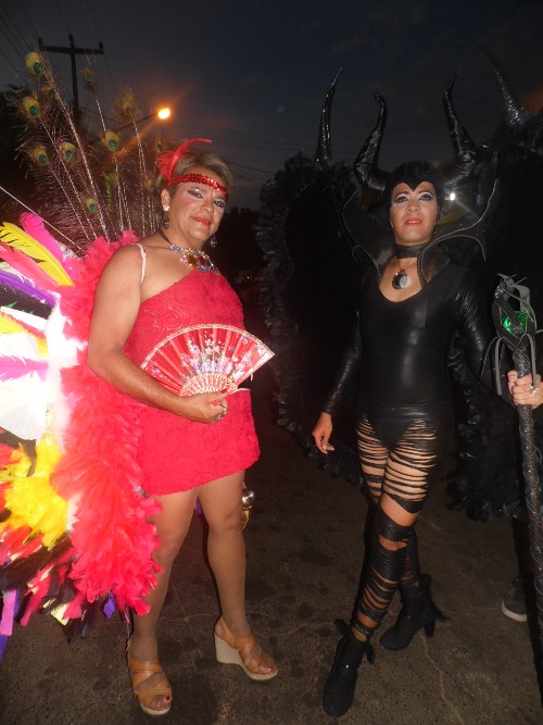 Os Gatões batem novo recorde e fazem desfile mais longo da história - Imagem 14