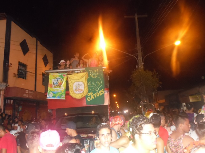 Os Gatões batem novo recorde e fazem desfile mais longo da história - Imagem 12