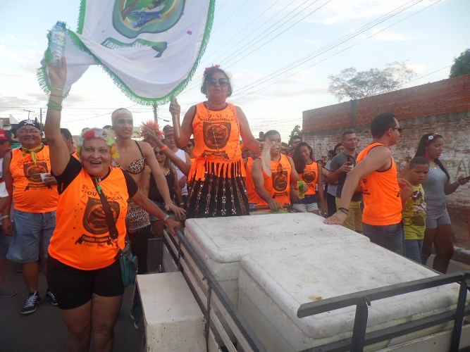Os Gatões batem novo recorde e fazem desfile mais longo da história - Imagem 30
