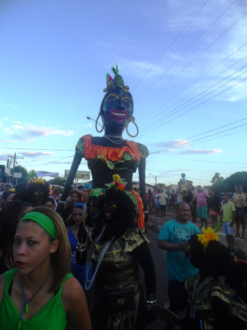 Os Gatões batem novo recorde e fazem desfile mais longo da história - Imagem 32