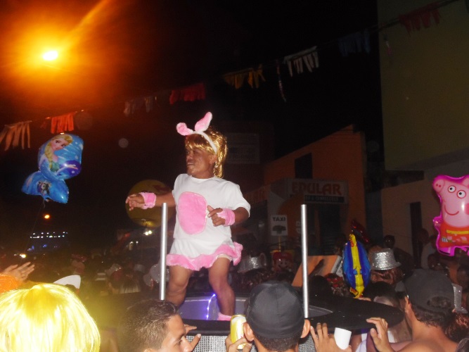 Os Gatões batem novo recorde e fazem desfile mais longo da história - Imagem 7