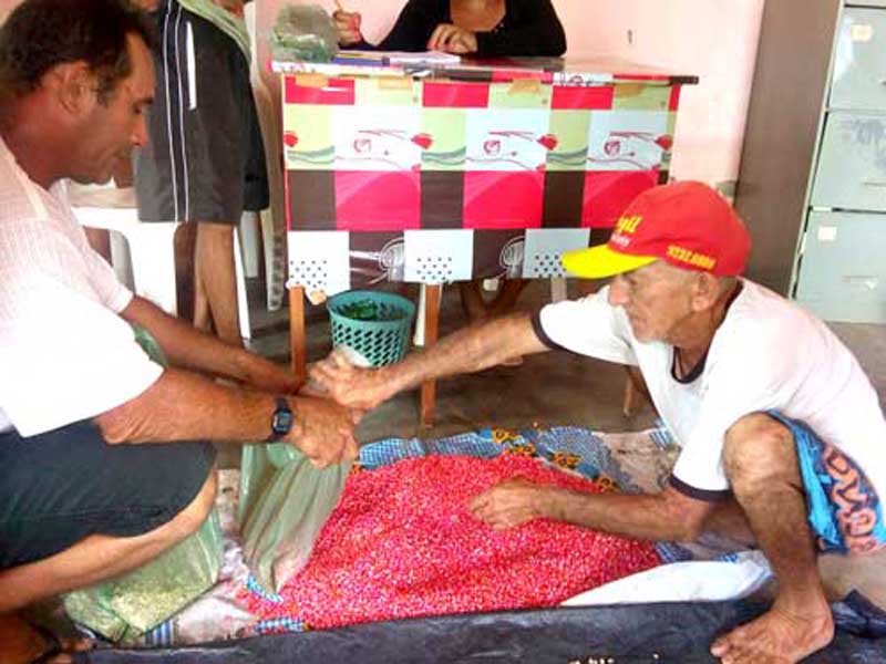 Prefeitura inicia distribuição de sementes para agricultores