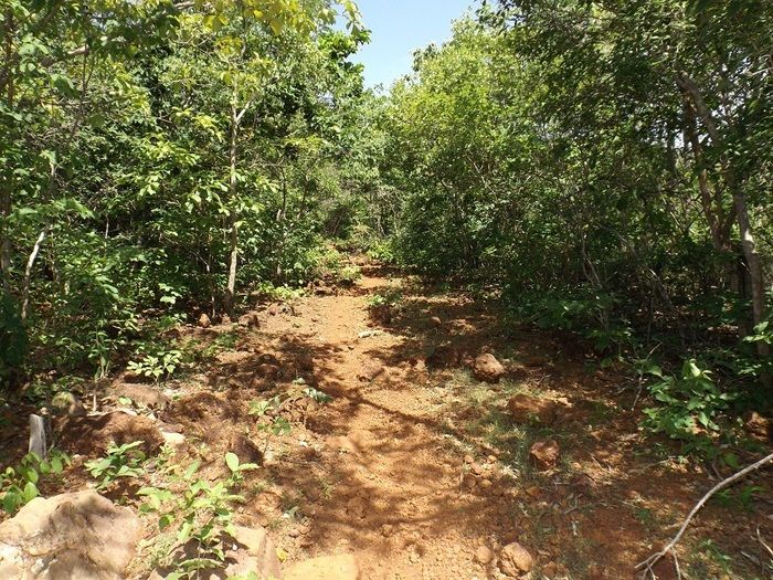 Mais estradas estão sendo recuperadas em Oeiras - Imagem 2