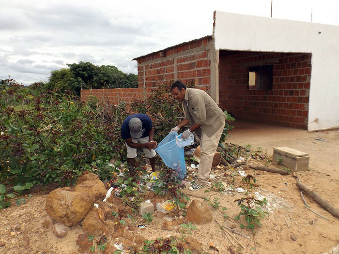 Combate ao Aedes aegypti continua em Oeiras - Imagem 13
