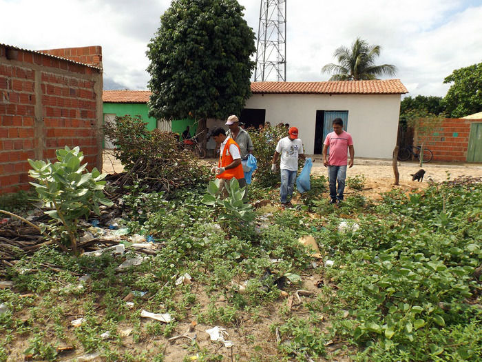 Combate ao Aedes aegypti continua em Oeiras - Imagem 12