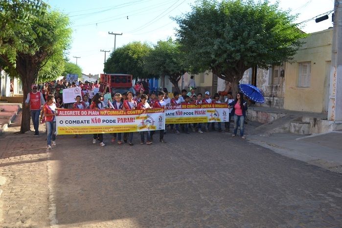 Prefeitura realiza grande mobilização contra o Aedes aegypti - Imagem 37