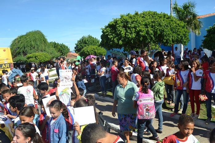 Prefeitura realiza grande mobilização contra o Aedes aegypti - Imagem 17