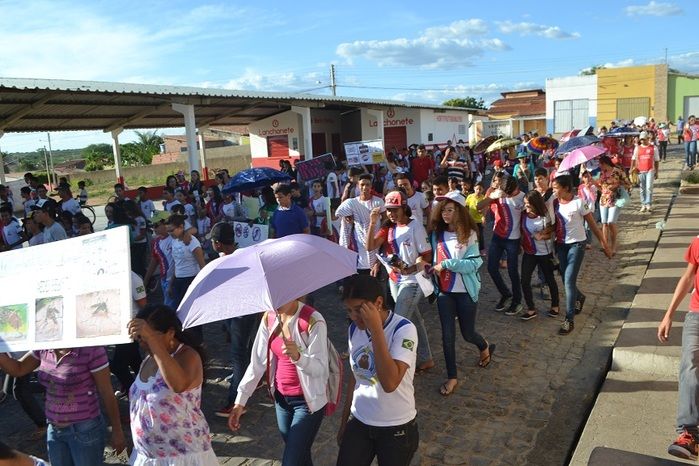 Prefeitura realiza grande mobilização contra o Aedes aegypti - Imagem 66