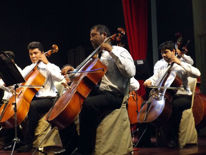 Festival de Bandolins acontece em Oeiras - Imagem 6