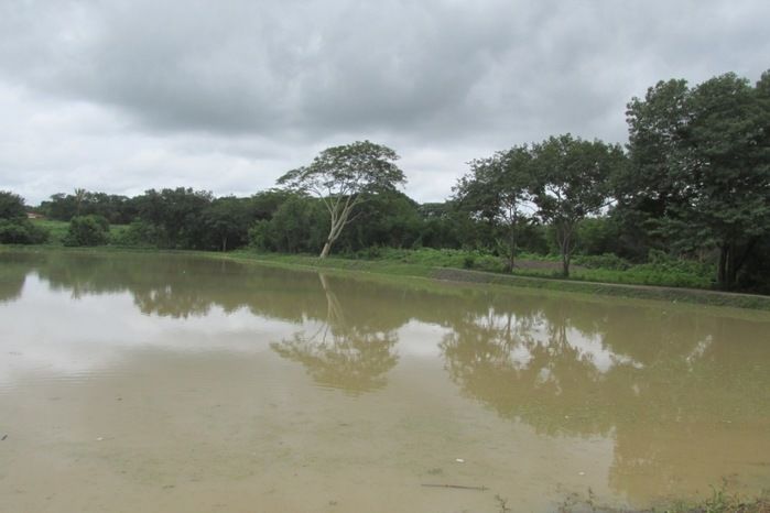 Prefeito Walter Alencar autoriza pesca na lagoa da Baixa - Imagem 5