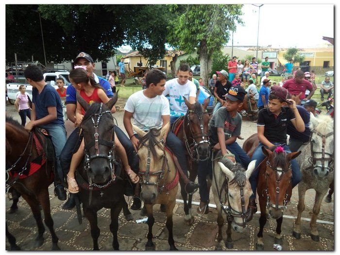 Festejo de São José contou com grande participação da comunidade - Imagem 111