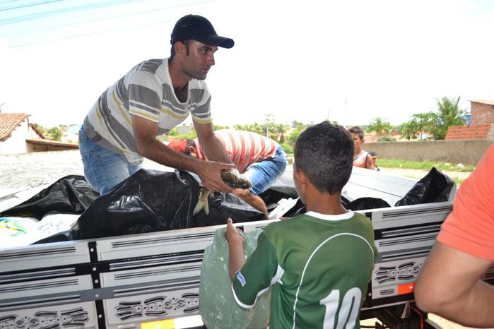 Prefeitura de Alegrete distribui peixes para a população - Imagem 41