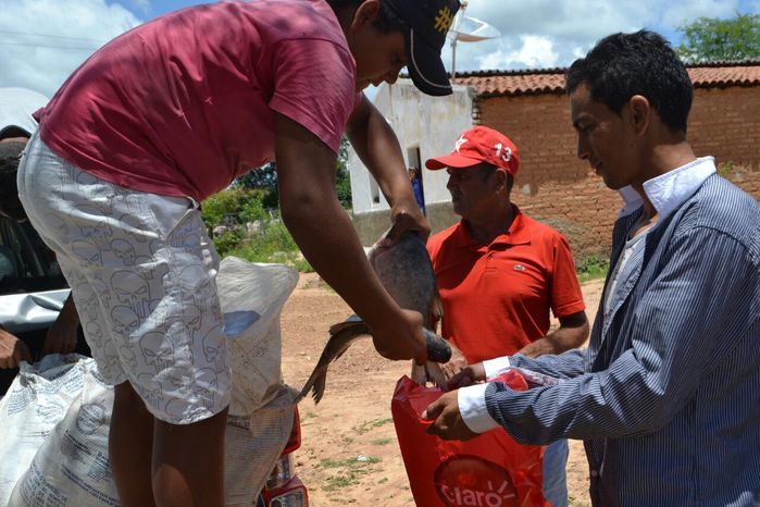 Prefeitura de Alegrete distribui peixes para a população - Imagem 22