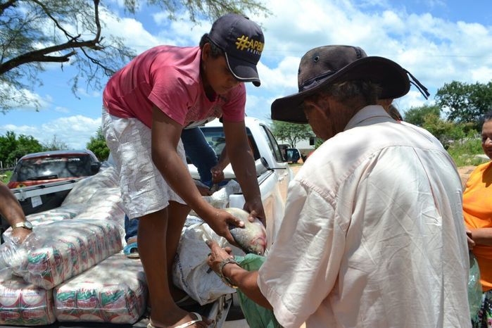 Prefeitura de Alegrete distribui peixes para a população - Imagem 15