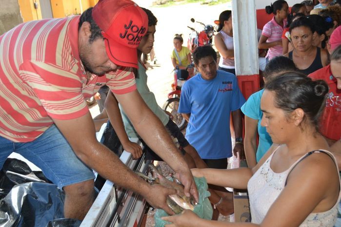Prefeitura de Alegrete distribui peixes para a população - Imagem 60