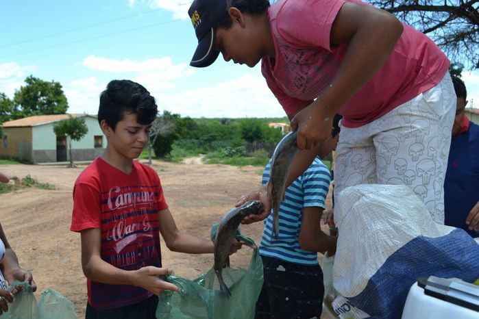 Prefeitura de Alegrete distribui peixes para a população - Imagem 24