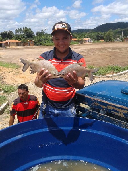 Prefeito distribuiu mais de 2.500 quilos de peixe para a População - Imagem 14