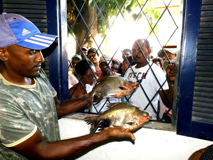Prefeitura de Oeiras distribui peixes para famílias carentes - Imagem 6