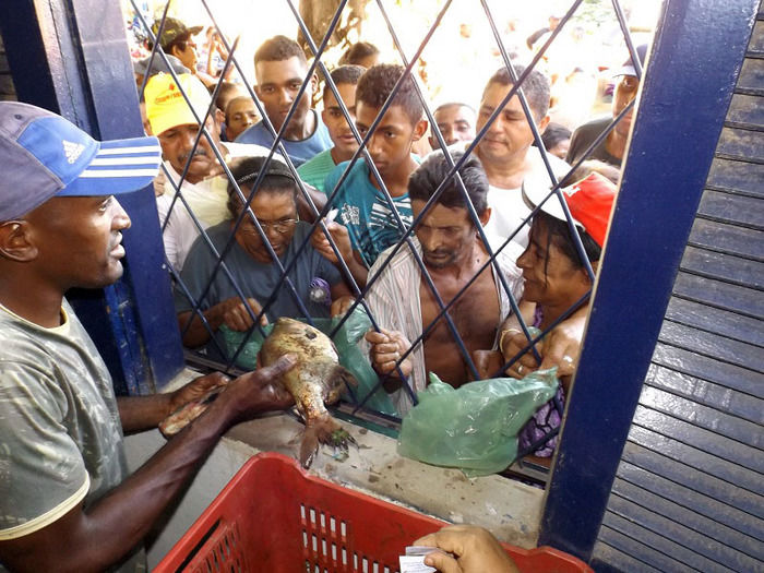Prefeitura de Oeiras distribui peixes para famílias carentes - Imagem 3