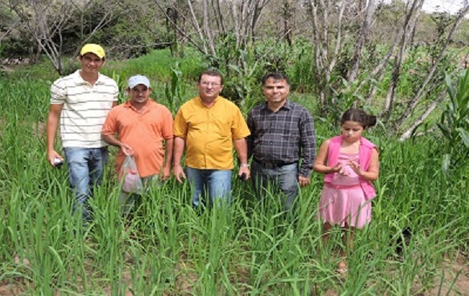 S. T. T. R - Pedro II realiza ações inovadoras na Zona Rural
