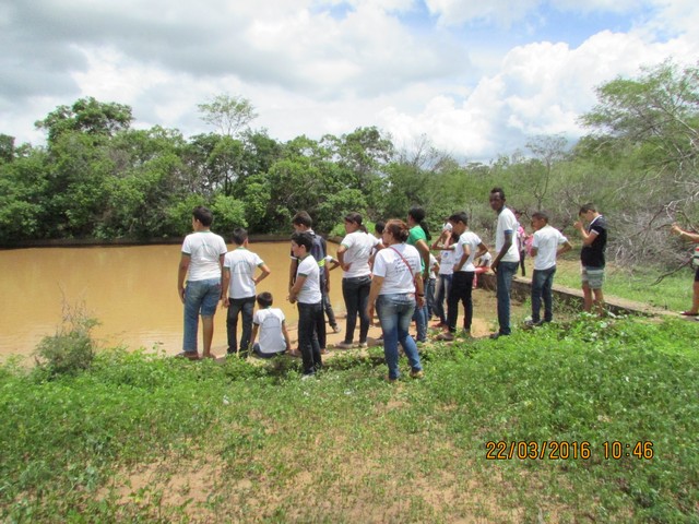 Escola Municipal Liberato Vieira Realiza Aula de Campo - Imagem 44