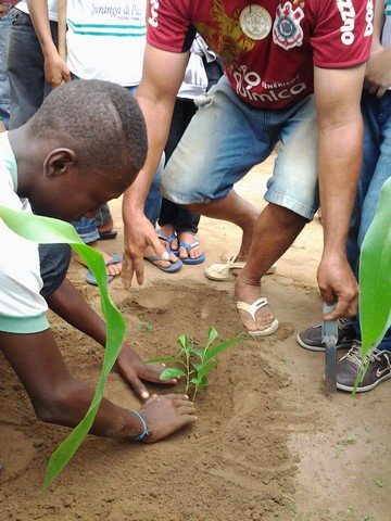 Escola Municipal Liberato Vieira Realiza Aula de Campo - Imagem 29