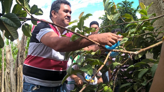 Escola Municipal Liberato Vieira Realiza Aula de Campo - Imagem 9