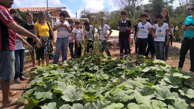 Escola Municipal Liberato Vieira Realiza Aula de Campo - Imagem 15