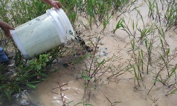 Prefeito de Lagoinha recebe Avelinos do DNOCS - Imagem 6