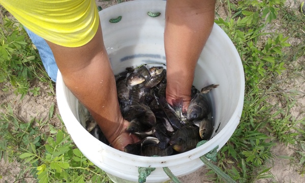 Prefeito de Lagoinha recebe Avelinos do DNOCS - Imagem 5