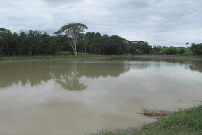 Lagoa da Baixa em Agricolândia Faça-nos uma visita na Semana Santa - Imagem 17