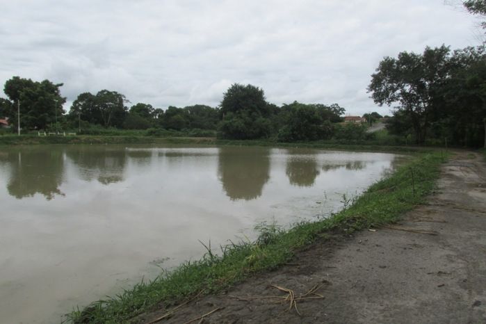 Lagoa da Baixa em Agricolândia Faça-nos uma visita na Semana Santa - Imagem 8