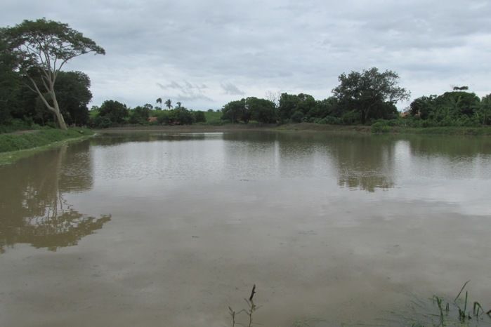 Lagoa da Baixa em Agricolândia Faça-nos uma visita na Semana Santa - Imagem 11