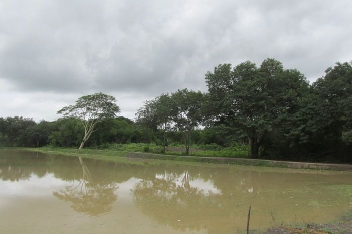 Lagoa da Baixa em Agricolândia Faça-nos uma visita na Semana Santa - Imagem 3