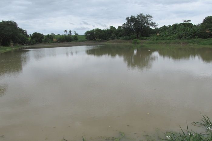 Lagoa da Baixa em Agricolândia Faça-nos uma visita na Semana Santa - Imagem 15