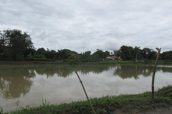 Lagoa da Baixa em Agricolândia Faça-nos uma visita na Semana Santa - Imagem 5