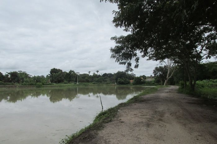 Lagoa da Baixa em Agricolândia Faça-nos uma visita na Semana Santa - Imagem 4
